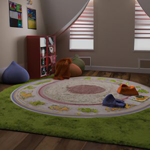 high pile rug inside a kid's room