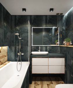 small dark walled bathroom with bathtub and a bowl sink